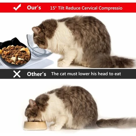 Promotion Double Bol Pour Chat, Gamelle Pour Chat, Inclinable à 15° Double Gamelle Chat Surélevée, Chargeur Pour Animaux De Compagnie à Double Bol Avec Support De Surélevé Pour Chats Et Chiens De Peti 6 Promotion Double Bol Pour Chat, Gamelle Pour Chat, Inclinable à 15° Double Gamelle Chat Surélevée, Chargeur Pour Animaux De Compagnie à Double Bol Avec Support De Surélevé Pour Chats Et Chiens De Peti – Image 4