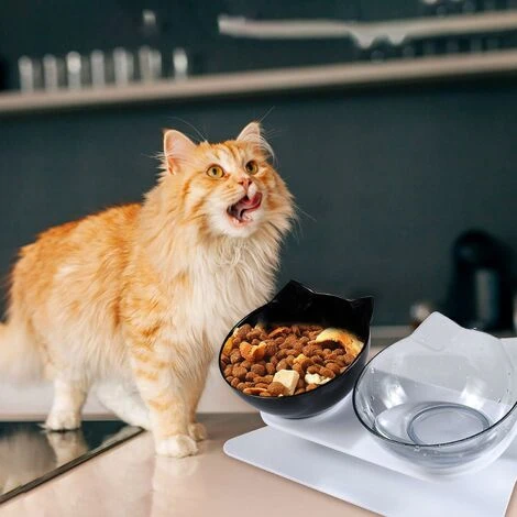 Promotion Double Bol Pour Chat, Gamelle Pour Chat, Inclinable à 15° Double Gamelle Chat Surélevée, Chargeur Pour Animaux De Compagnie à Double Bol Avec Support De Surélevé Pour Chats Et Chiens De Peti 7 Promotion Double Bol Pour Chat, Gamelle Pour Chat, Inclinable à 15° Double Gamelle Chat Surélevée, Chargeur Pour Animaux De Compagnie à Double Bol Avec Support De Surélevé Pour Chats Et Chiens De Peti – Image 5