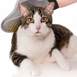 2 Pcs Gant De Toilettage Pour Animaux De Compagnie, Gant De Toilettage Massage Gants Pour Chien Gant Brosse Chat Pour Tous Les Chiens Et Chats à Fourrure Longue Et Courte -Pas Cher Toutou Mia Magasin 93485415 5