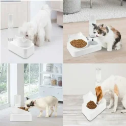 Gamelles Avec Distributeur D'eau Automatique Automatique Bol De Nourriture Distributeur De Croquettes Et Eau Ensemble De Bol D'eau Et De Nourriture Distributeur De Nourriture Eau Pour Animaux 1 Pièce -Pas Cher Toutou Mia Magasin 93563483 4
