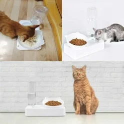 Gamelles Avec Distributeur D'eau Automatique Automatique Bol De Nourriture Distributeur De Croquettes Et Eau Ensemble De Bol D'eau Et De Nourriture Distributeur De Nourriture Eau Pour Animaux 1 Pièce -Pas Cher Toutou Mia Magasin 93563483 5