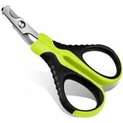 Ciseaux à Ongles Professionnels Pour Chat Lapins Et Petits Animaux Tondeuses à Griffes De Chat Ciseaux Acier Inoxydable Courbe Ciseaux Coupe Ongles Chat