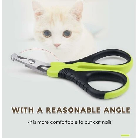 Ciseaux à Ongles Professionnels Pour Chat Lapins Et Petits Animaux Tondeuses à Griffes De Chat Ciseaux Acier Inoxydable Courbe Ciseaux Coupe Ongles Chat 6 Ciseaux à Ongles Professionnels Pour Chat Lapins Et Petits Animaux Tondeuses à Griffes De Chat Ciseaux Acier Inoxydable Courbe Ciseaux Coupe Ongles Chat – Image 4