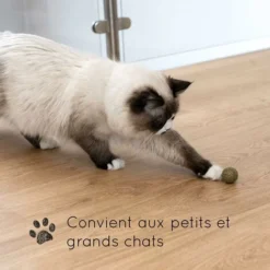 3 Balles D'herbe à Chat KaraLuna I Jouets Fabriqués à Partir D'herbe à Chat 100% Séchée Et Pressée Naturellement I Balles De Jouet Pour Chat -Pas Cher Toutou Mia Magasin 94898595 3