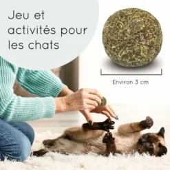 3 Balles D'herbe à Chat KaraLuna I Jouets Fabriqués à Partir D'herbe à Chat 100% Séchée Et Pressée Naturellement I Balles De Jouet Pour Chat -Pas Cher Toutou Mia Magasin 94898595 4