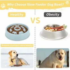 Gamelle D'alimentation Lente Pour Chiens Gamelle Anti Glouton Chat Slow Feeding Antidérapant Une Digestion Lente Prévention Ballonnements (Bleu) -Pas Cher Toutou Mia Magasin 95181692 4