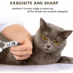 Coupe-griffes Et Coupe-ongles Pour Chat　Ciseaux à Ongles Professionnels Pour Chat Lapins Et Petits Animaux Tondeuses à Griffes De Chat Ciseaux Acier Inoxydable Courbe Ciseaux Coupe Ongles Chat -Pas Cher Toutou Mia Magasin 96337325 5