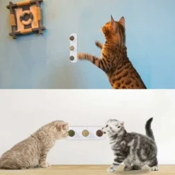 Herbe à Chat　Jouets à L'herbe à Chat, Balles D'herbe à Chat Comestibles, Herbe à Chat Sûre Et Saine, Famille De Chats Chassant Les Jouets, Nettoyant Les Dents, Protégeant L'estomac -Pas Cher Toutou Mia Magasin 96337556 5