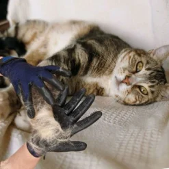 Accessoires De Toilettage Pour Chat Paire De Gants De Toilettage Par-pour Chats, Chiens Et Chevaux à Fourrure Longue Ou Courte (Noir-1) 9 Accessoires De Toilettage Pour Chat Paire De Gants De Toilettage Par-pour Chats, Chiens Et Chevaux à Fourrure Longue Ou Courte (Noir-1) -Pas Cher Toutou Mia Magasin 96337938 3