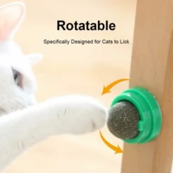 Boules D'herbe à Chat, Jouet De Chaton Comestible Pour Le Léchage De Chat, Jouet De Construction De Chaton Sain Et Sr, Jouet De Chat De Dent De Nettoyage Des Dents -Pas Cher Toutou Mia Magasin 97446445 3