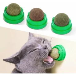 Boules à Mâcher à L'herbe à Chat Pour Le Nettoyage Des Dents