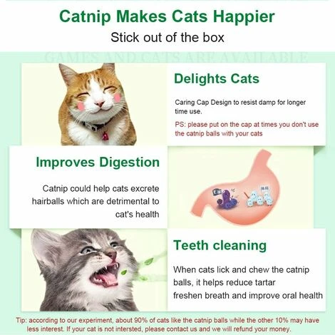 Boules à Mâcher à L'herbe à Chat Pour Le Nettoyage Des Dents 7 Boules à Mâcher à L'herbe à Chat Pour Le Nettoyage Des Dents – Image 5