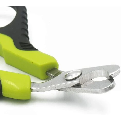 Coupe Griffe Pour Chat,Coupe Ongles Pour Chats Et Petits Chiens De Race Tondeuses à Griffes De Chat Ciseaux Acier Inoxydable Courbe Ciseaux Coupe Ongles Chat 4 Coupe Griffe Pour Chat,Coupe Ongles Pour Chats Et Petits Chiens De Race Tondeuses à Griffes De Chat Ciseaux Acier Inoxydable Courbe Ciseaux Coupe Ongles Chat – Image 2