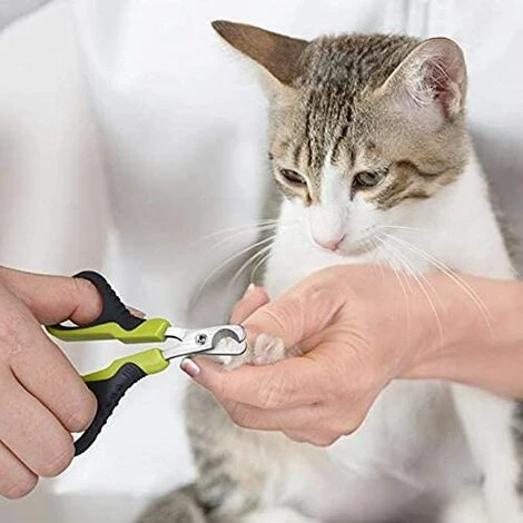 Coupe Griffe Pour Chat,Coupe Ongles Pour Chats Et Petits Chiens De Race Tondeuses à Griffes De Chat Ciseaux Acier Inoxydable Courbe Ciseaux Coupe Ongles Chat 7 Coupe Griffe Pour Chat,Coupe Ongles Pour Chats Et Petits Chiens De Race Tondeuses à Griffes De Chat Ciseaux Acier Inoxydable Courbe Ciseaux Coupe Ongles Chat – Image 5