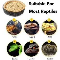 Lot De 2 Bols De Nourriture Pour Reptiles - Bols D'Eau Et De Nourriture Pour Reptiles, Bol De Nourriture De Nouveauté Pour Lézards, Jeunes Dragons Barbus, Petits Serpents Et Plus - Fabriqué À Partir D 10 Lot De 2 Bols De Nourriture Pour Reptiles - Bols D'Eau Et De Nourriture Pour Reptiles, Bol De Nourriture De Nouveauté Pour Lézards, Jeunes Dragons Barbus, Petits Serpents Et Plus - Fabriqué À Partir D -Pas Cher Toutou Mia Magasin 97536115 4