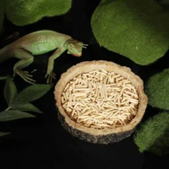 Lot De 2 Bols De Nourriture Pour Reptiles - Bols D'Eau Et De Nourriture Pour Reptiles, Bol De Nourriture De Nouveauté Pour Lézards, Jeunes Dragons Barbus, Petits Serpents Et Plus - Fabriqué À Partir D 11 Lot De 2 Bols De Nourriture Pour Reptiles - Bols D'Eau Et De Nourriture Pour Reptiles, Bol De Nourriture De Nouveauté Pour Lézards, Jeunes Dragons Barbus, Petits Serpents Et Plus - Fabriqué À Partir D -Pas Cher Toutou Mia Magasin 97536115 5