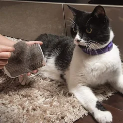 Chat Auto-Toiletteur Auto-Toilettage Brosse Baguette Coin Massage Peigne Jouet Pour Chat 9 Chat Auto-Toiletteur Auto-Toilettage Brosse Baguette Coin Massage Peigne Jouet Pour Chat -Pas Cher Toutou Mia Magasin 97547863 4