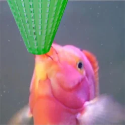 4 Pièces Aquarium Vivant Rouge Ver Cône Mangeoire En Plastique Congelé Saumure Crevettes Poisson Alimentation Tasse Pour Aquarium Avec Ventouses -Pas Cher Toutou Mia Magasin 97549574 4