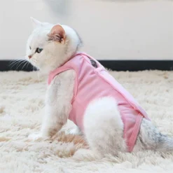 Combinaison De Récupération Professionnelle Pour Chat Pour Les Plaies Abdominales Ou Les Maladies De La Peau, Alternative Au Collier Électronique Pour Les Chats Et Les Chiens, Après La Chirurgie, Port -Pas Cher Toutou Mia Magasin 97550649 3