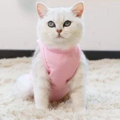 Combinaison De Récupération Professionnelle Pour Chat Pour Les Plaies Abdominales Ou Les Maladies De La Peau, Alternative Au Collier Électronique Pour Les Chats Et Les Chiens, Après La Chirurgie, Port -Pas Cher Toutou Mia Magasin 97550649 4