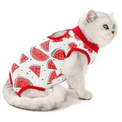 Combinaison De Récupération Chirurgicale Pour Chat, Chaton Respirant Après La Chirurgie, Porte Une Chemise Pour Animaux De Compagnie Pour Les Plaies Abdominales, Les Maladies De La Peau, Les Bandages