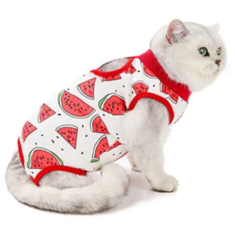 Combinaison De Récupération Chirurgicale Pour Chat, Chaton Respirant Après La Chirurgie, Porte Une Chemise Pour Animaux De Compagnie Pour Les Plaies Abdominales, Les Maladies De La Peau, Les Bandages 3 Combinaison De Récupération Chirurgicale Pour Chat, Chaton Respirant Après La Chirurgie, Porte Une Chemise Pour Animaux De Compagnie Pour Les Plaies Abdominales, Les Maladies De La Peau, Les Bandages