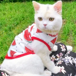 Combinaison De Récupération Chirurgicale Pour Chat, Chaton Respirant Après La Chirurgie, Porte Une Chemise Pour Animaux De Compagnie Pour Les Plaies Abdominales, Les Maladies De La Peau, Les Bandages 9 Combinaison De Récupération Chirurgicale Pour Chat, Chaton Respirant Après La Chirurgie, Porte Une Chemise Pour Animaux De Compagnie Pour Les Plaies Abdominales, Les Maladies De La Peau, Les Bandages -Pas Cher Toutou Mia Magasin 97554822 3