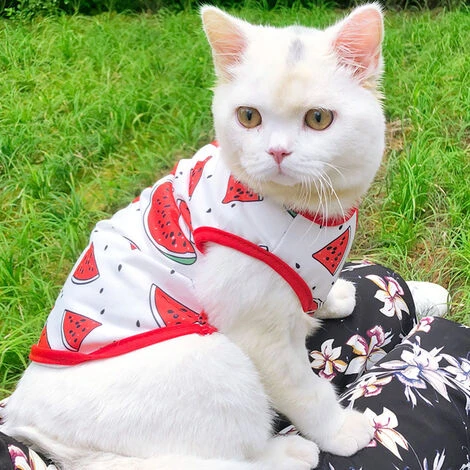 Combinaison De Récupération Chirurgicale Pour Chat, Chaton Respirant Après La Chirurgie, Porte Une Chemise Pour Animaux De Compagnie Pour Les Plaies Abdominales, Les Maladies De La Peau, Les Bandages 5 Combinaison De Récupération Chirurgicale Pour Chat, Chaton Respirant Après La Chirurgie, Porte Une Chemise Pour Animaux De Compagnie Pour Les Plaies Abdominales, Les Maladies De La Peau, Les Bandages – Image 3