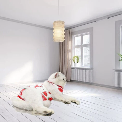 Combinaison De Récupération Chirurgicale Pour Chat, Chaton Respirant Après La Chirurgie, Porte Une Chemise Pour Animaux De Compagnie Pour Les Plaies Abdominales, Les Maladies De La Peau, Les Bandages 6 Combinaison De Récupération Chirurgicale Pour Chat, Chaton Respirant Après La Chirurgie, Porte Une Chemise Pour Animaux De Compagnie Pour Les Plaies Abdominales, Les Maladies De La Peau, Les Bandages – Image 4