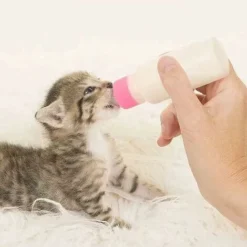 Kit De Biberon Pour Animal Domestique, Biberon Pour Chaton Peut Presser Le Liquide, Kit De Biberon Pour Chiot Et Mini Tétines De Rechange Pour Chaton, Chiot, Petit Animal De Compagnie. 8 Kit De Biberon Pour Animal Domestique, Biberon Pour Chaton Peut Presser Le Liquide, Kit De Biberon Pour Chiot Et Mini Tétines De Rechange Pour Chaton, Chiot, Petit Animal De Compagnie. -Pas Cher Toutou Mia Magasin 97560458 2