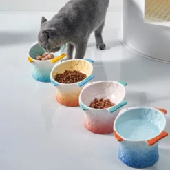 Bol Pour Chat Ustensiles En Céramique Protéger Les Vertèbres Cervicales Manger Pot Nourriture Pour Chat Bol Pour Chat Poisson Coloré 11 Bol Pour Chat Ustensiles En Céramique Protéger Les Vertèbres Cervicales Manger Pot Nourriture Pour Chat Bol Pour Chat Poisson Coloré -Pas Cher Toutou Mia Magasin 97739465 5