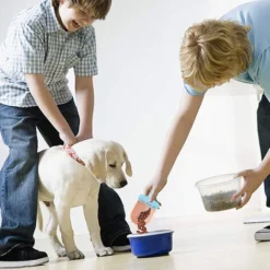 Cuillère à Nourriture Cuillère à Nourriture Pour Chiens Et Chats Cuillère à Glace Cuillère à Farine Cuillères à Bonbons Tasse à Mesurer Sèche Cuillère En Plastique Pour Bidons Et Congélateur 10 Cuillère à Nourriture Cuillère à Nourriture Pour Chiens Et Chats Cuillère à Glace Cuillère à Farine Cuillères à Bonbons Tasse à Mesurer Sèche Cuillère En Plastique Pour Bidons Et Congélateur -Pas Cher Toutou Mia Magasin 97757514 4