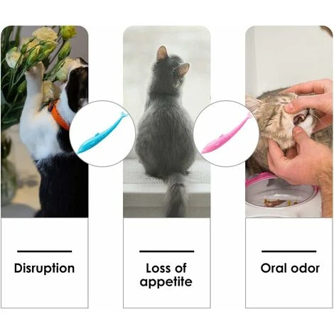 Brosse à Dents Pour Chat, Jouet De Nettoyage Des Dents En Forme De Poisson Chat, Jouet Pour Chat à L'herbe à Chat, Jouet à L'herbe à Chat, Brosse à Dents Pour Chat, Jouet Pour Chat Poisson, Brosse à D 7 Brosse à Dents Pour Chat, Jouet De Nettoyage Des Dents En Forme De Poisson Chat, Jouet Pour Chat à L'herbe à Chat, Jouet à L'herbe à Chat, Brosse à Dents Pour Chat, Jouet Pour Chat Poisson, Brosse à D – Image 5