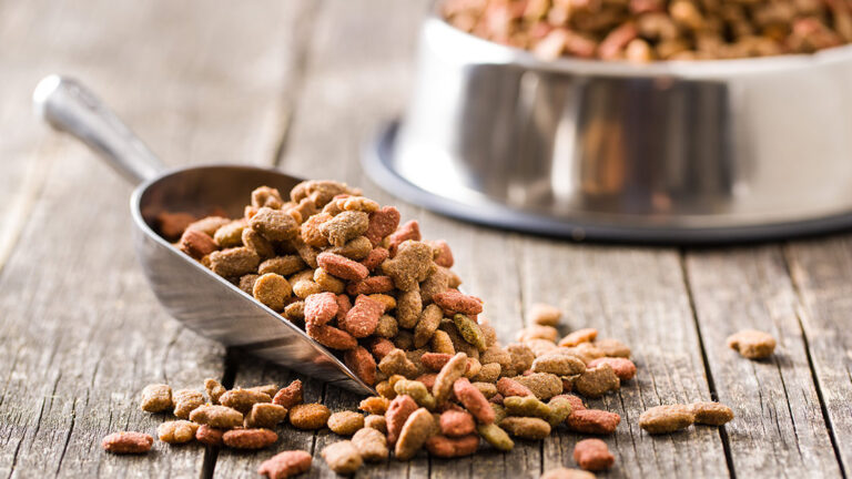 Pas Cher Toutou Mia Magasin -Pas Cher Toutou Mia Magasin croquette chien 768x432 1